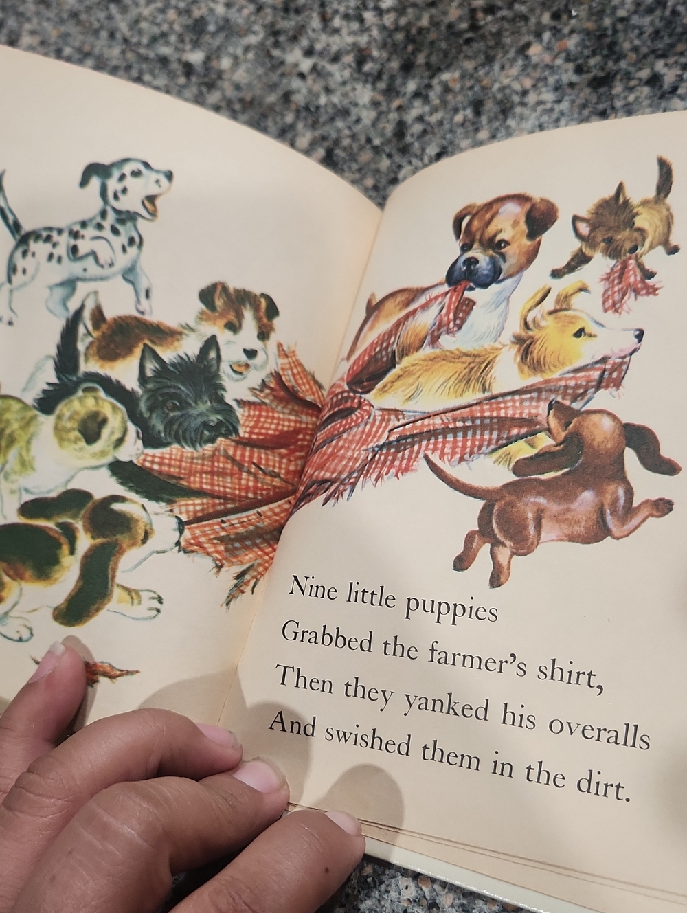 Vintage Count the Puppies  Children's Book - Picture 3 of 6
